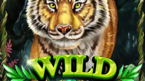 Wild Jungle