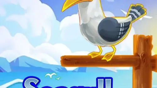 Seagull