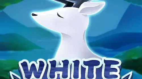 White Deer
