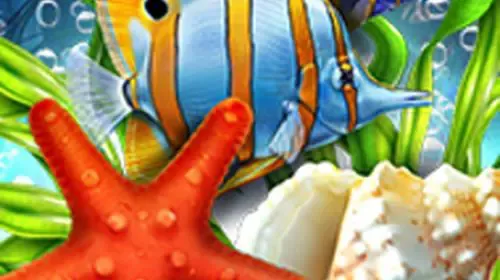 Deep Sea Fortune
