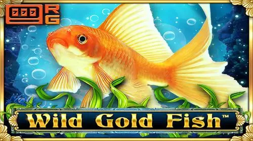 Wild Gold Fish