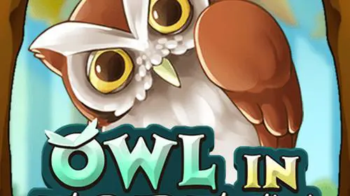 Owl In Forest