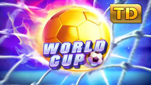 World cup