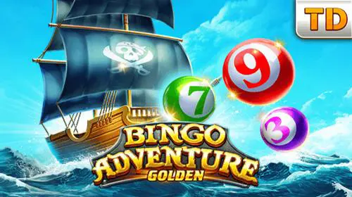 Bingo Adventure