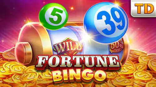 Fortune Bingo
