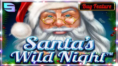 Santa’s Wild Night