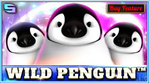 Wild Penguin
