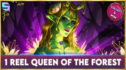 1 Reel - Queen Of The Forest